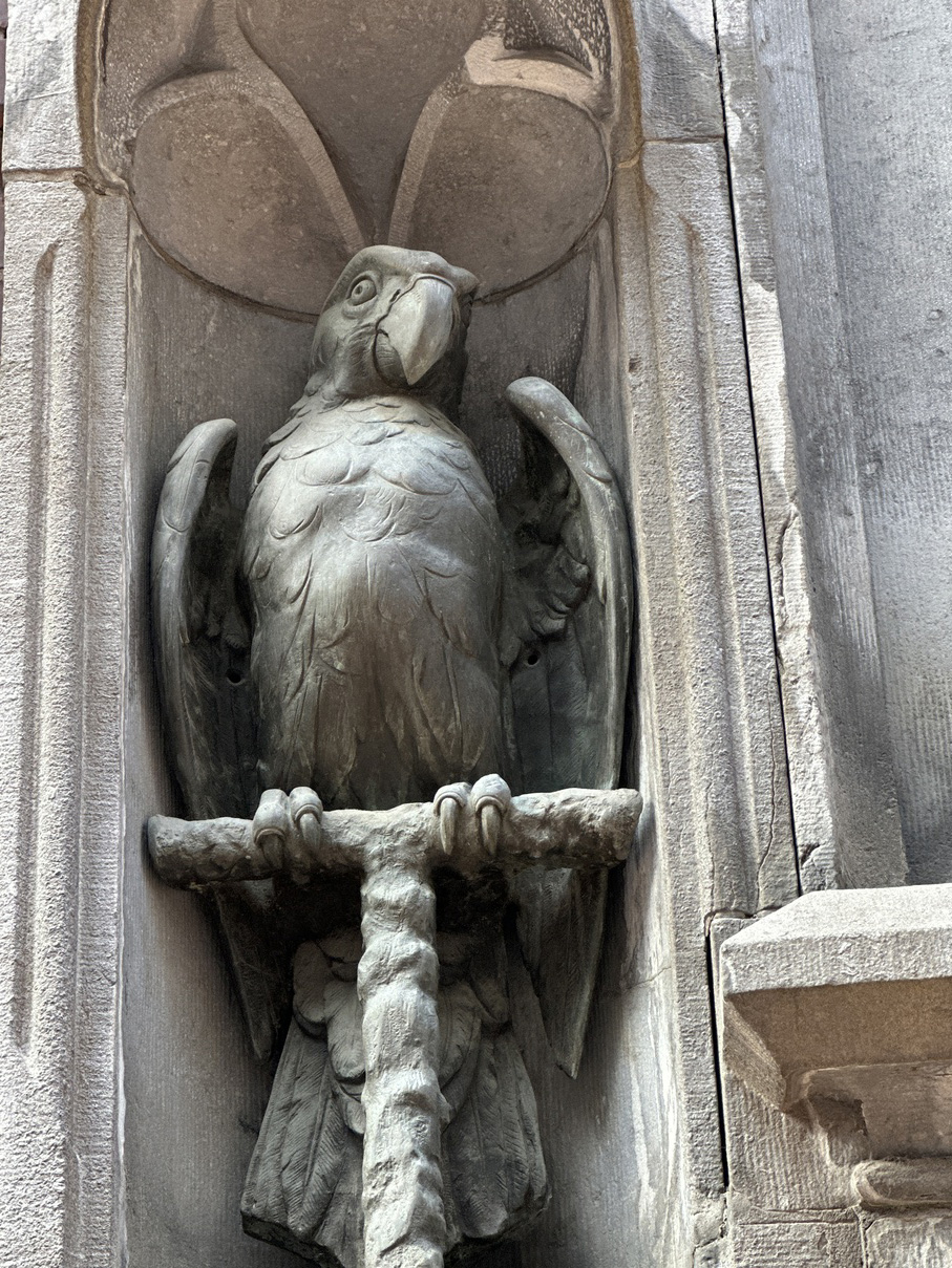 The Parrot